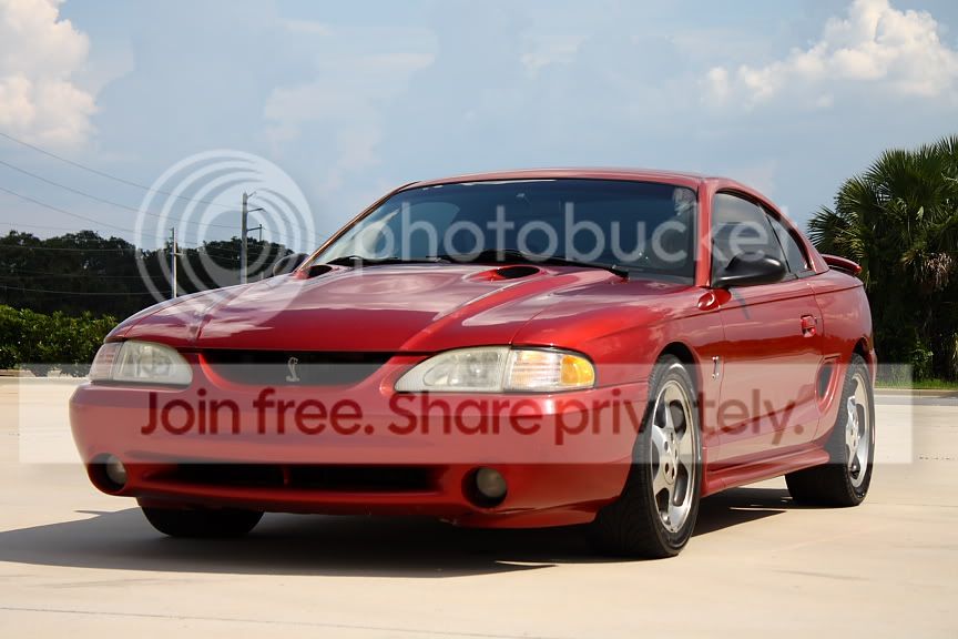 IMG_3544smaller.jpg