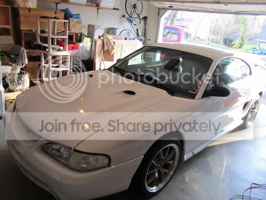 IMG_0055_zps27eb920c.jpg