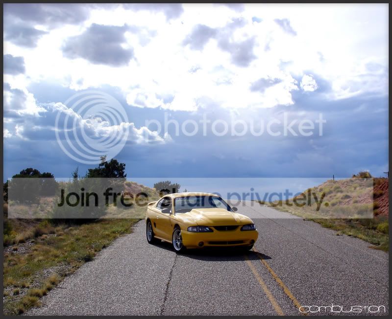 yellowshot7.jpg