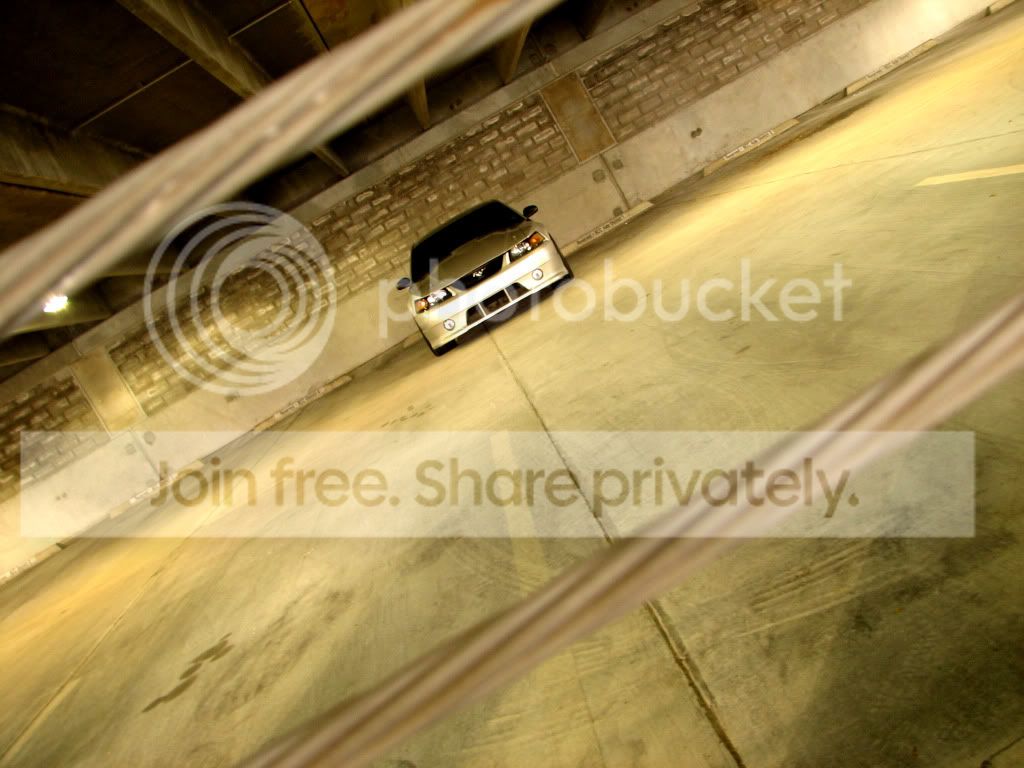 slitherjuly066.jpg