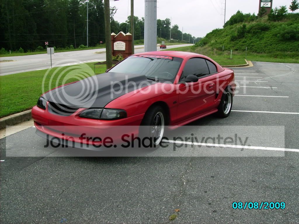wingless2008.jpg