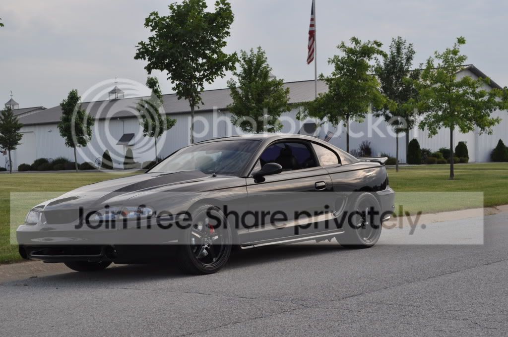 mustang060.jpg