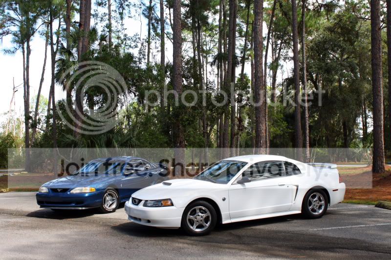 IMG_1004smaller.jpg