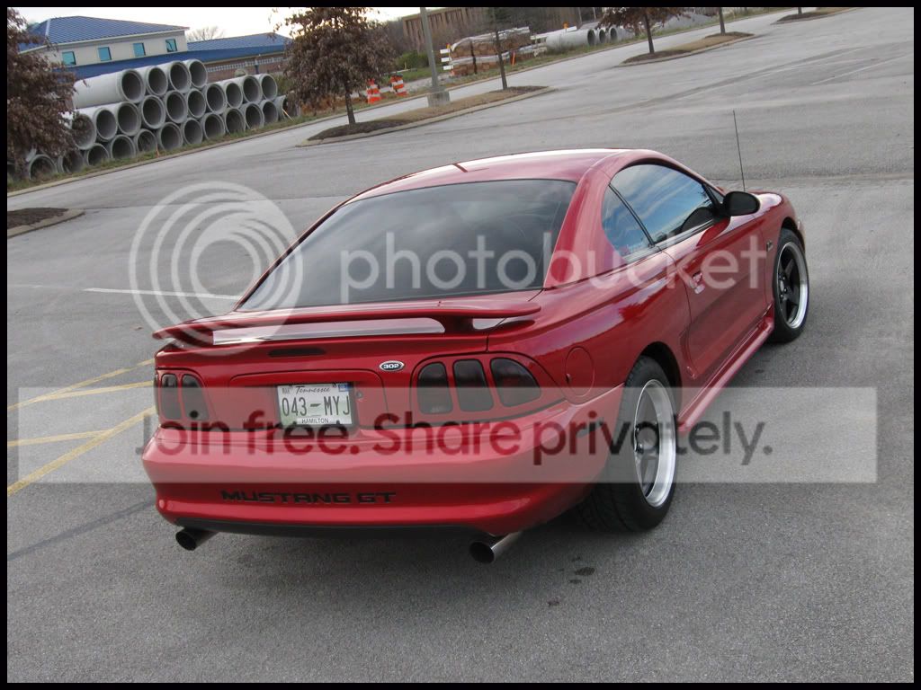 stang030.jpg