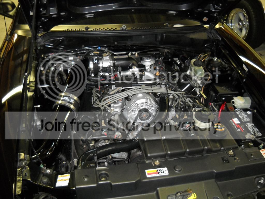 blackcar010.jpg