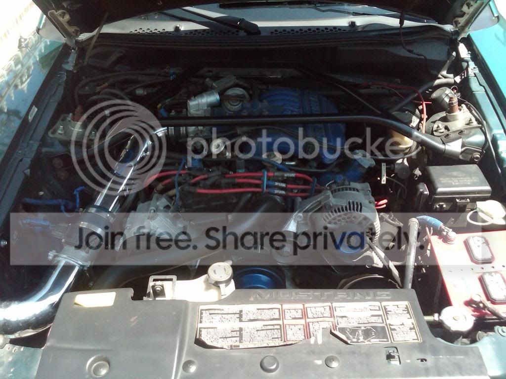 mustang3_zps97b577e7.jpg