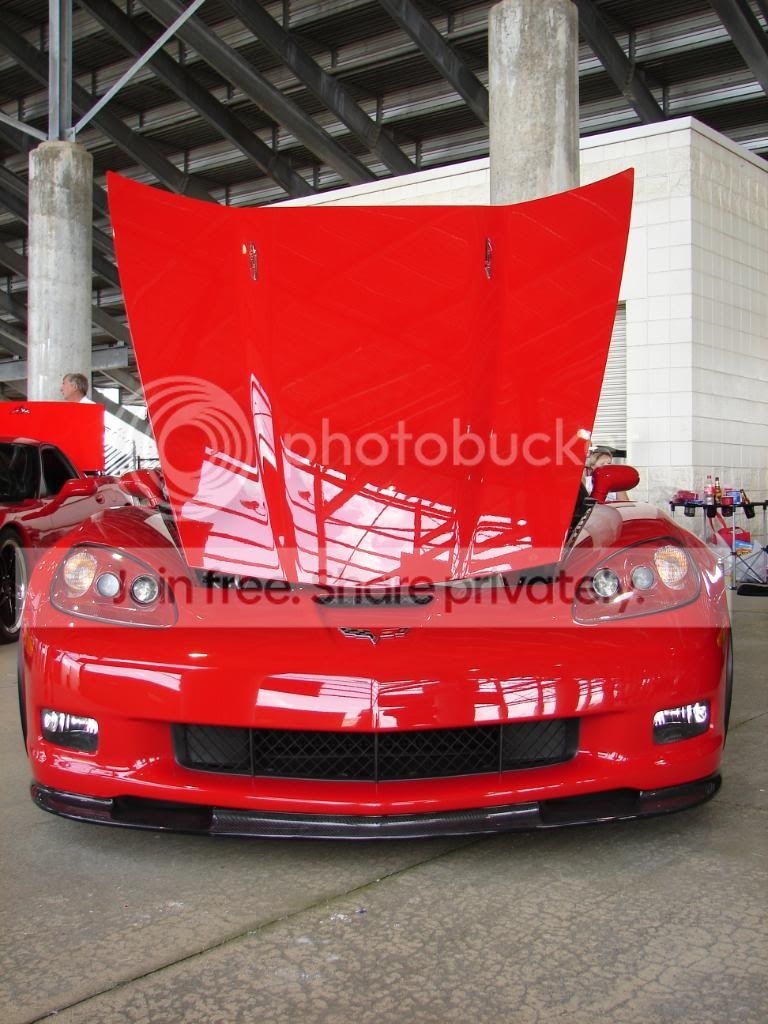 vette1.jpg