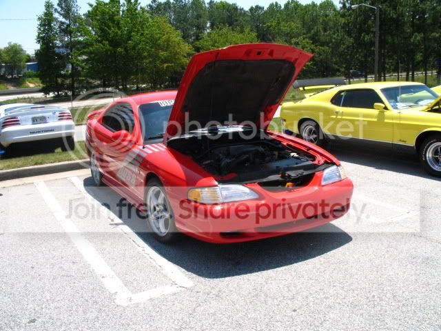 Picture009.jpg