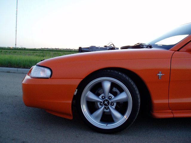 fd9DYVLl.jpg