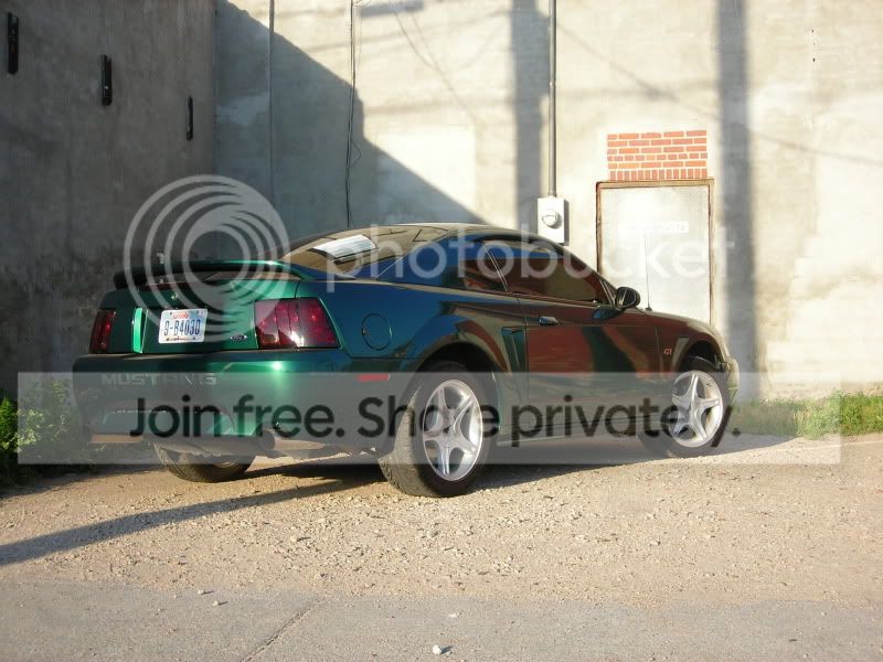 mustang28.jpg