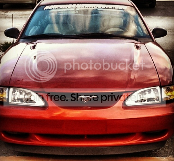 stang03_zps19a238aa.png