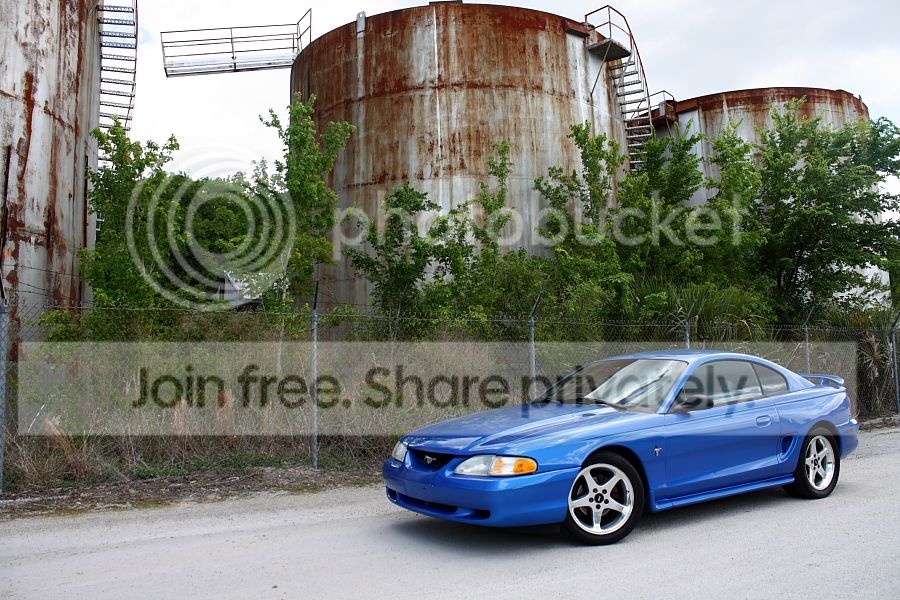 IMG_3769smaller.jpg