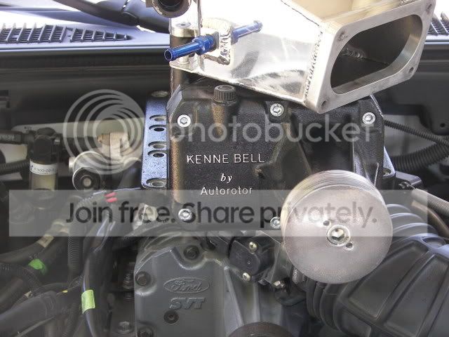 maypics008.jpg