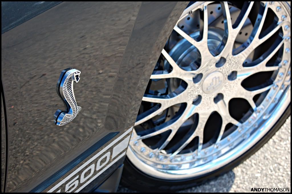 Mustangshoot26.jpg