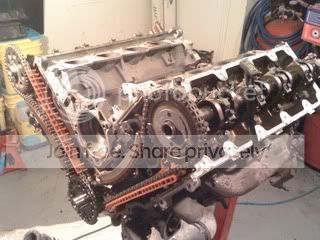 LogansStang010.jpg