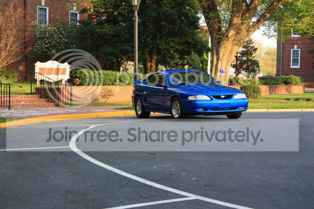 carandbday124.jpg