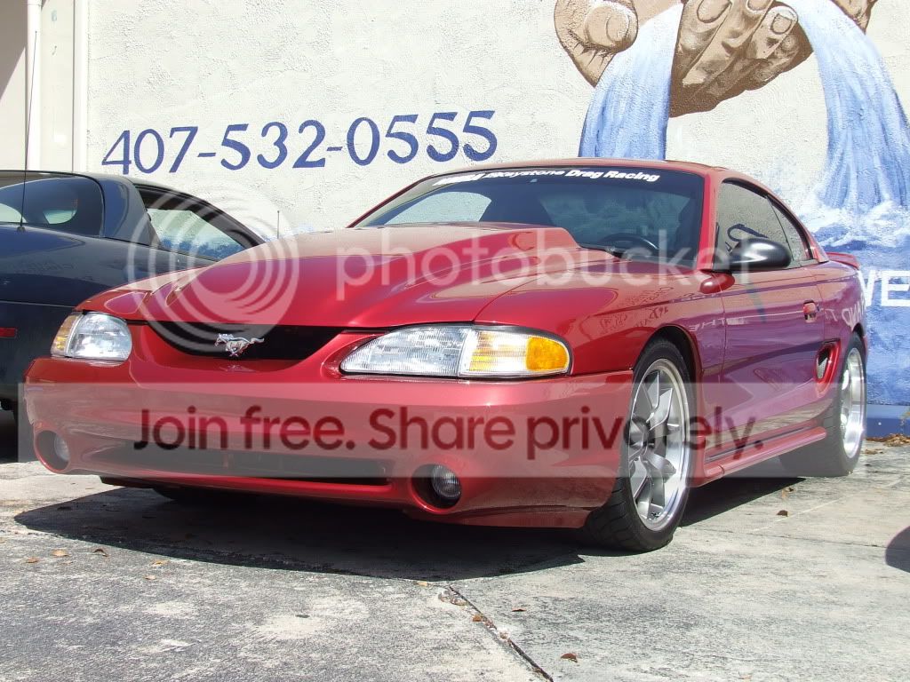DSCF6009.jpg