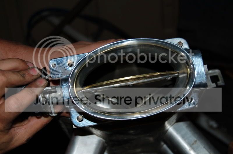 DSC_1117.jpg