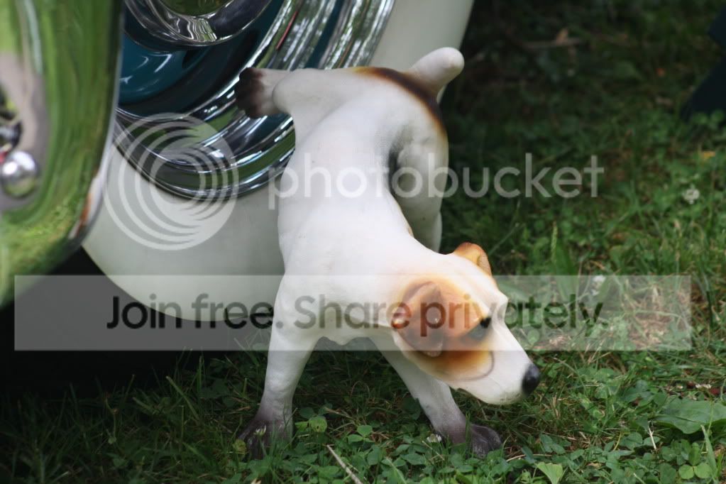 Picture045.jpg
