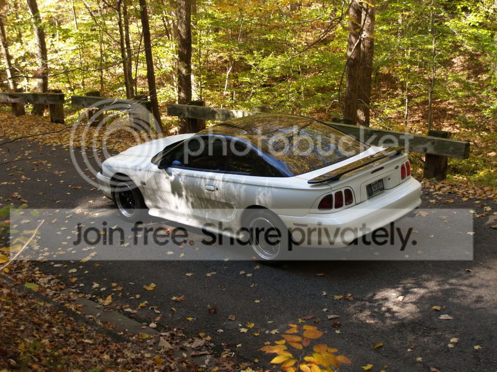 PA193195.jpg
