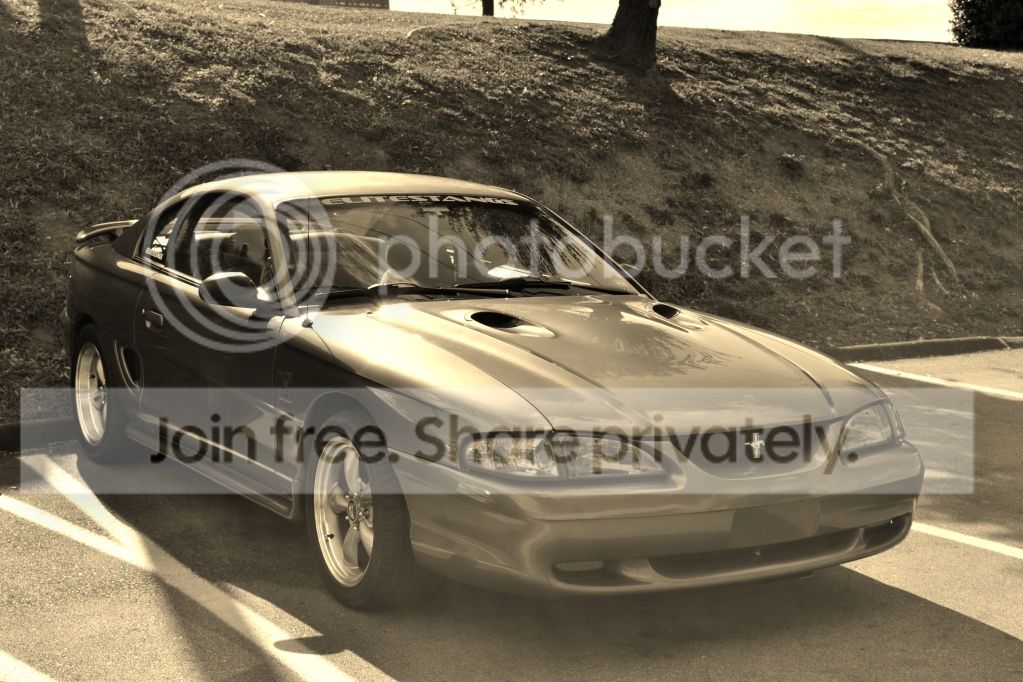 DSC_09663.jpg