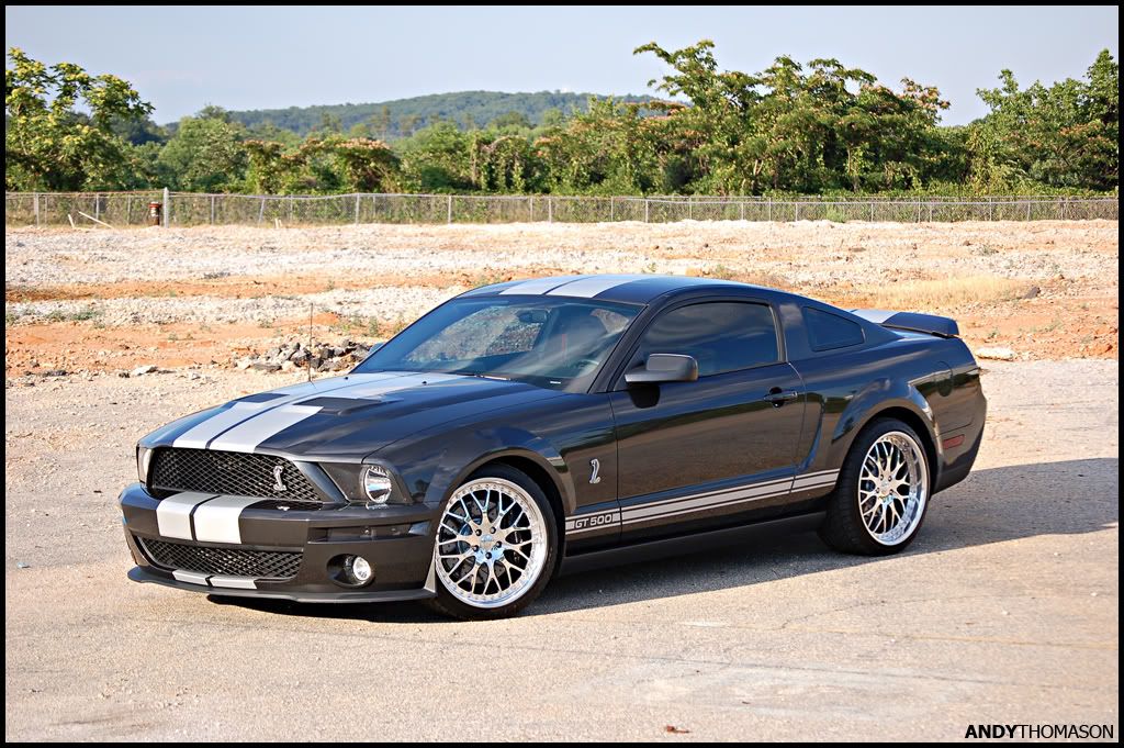 Mustangshoot21.jpg