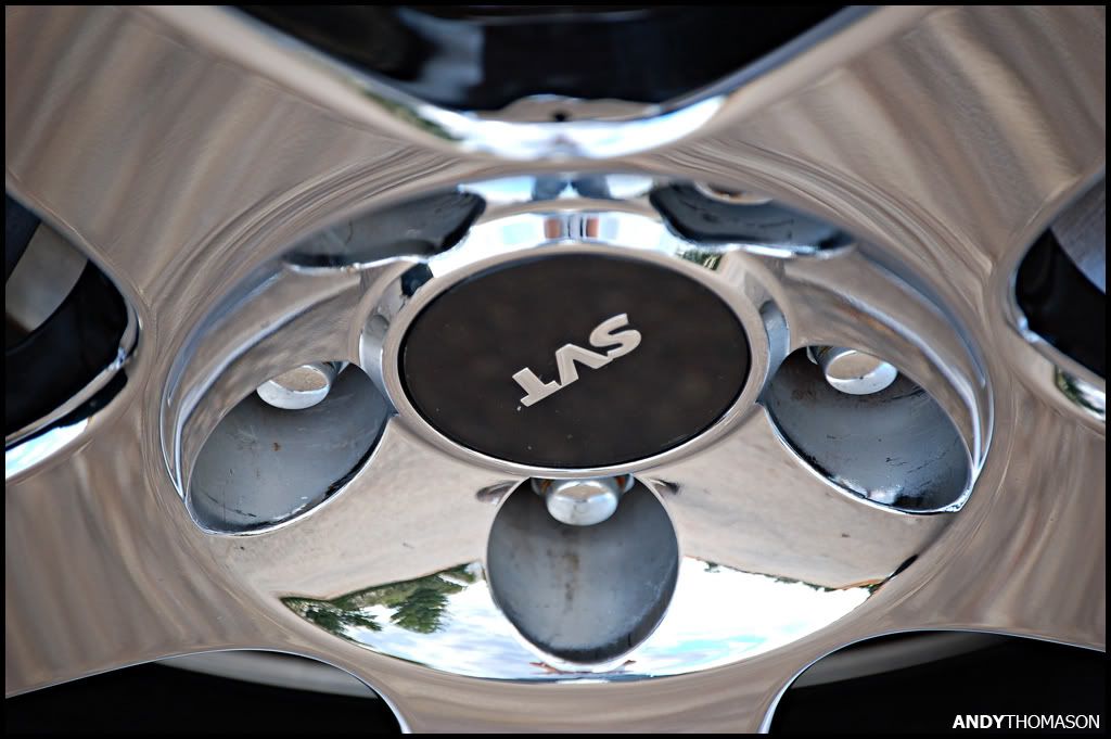 Mustangshoot40.jpg