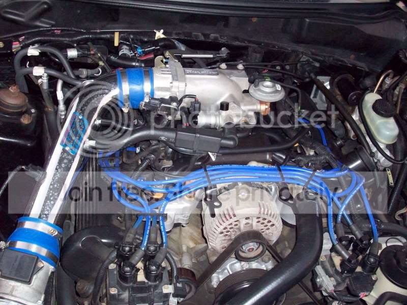 Pictures009.jpg