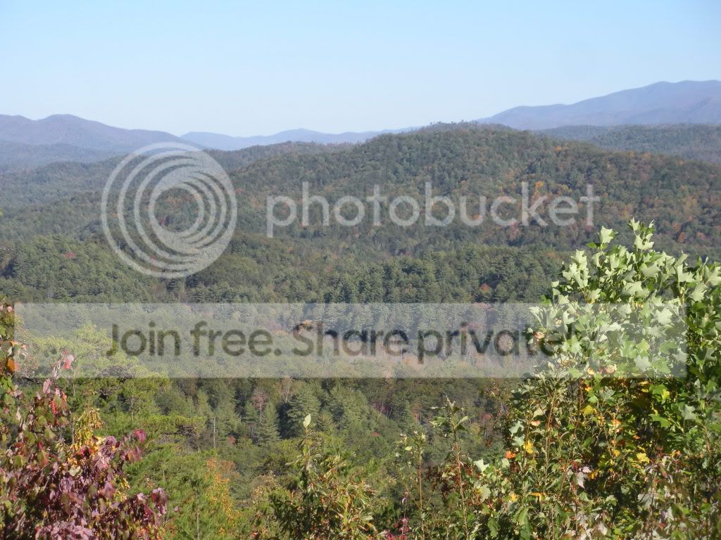 OCT079.jpg