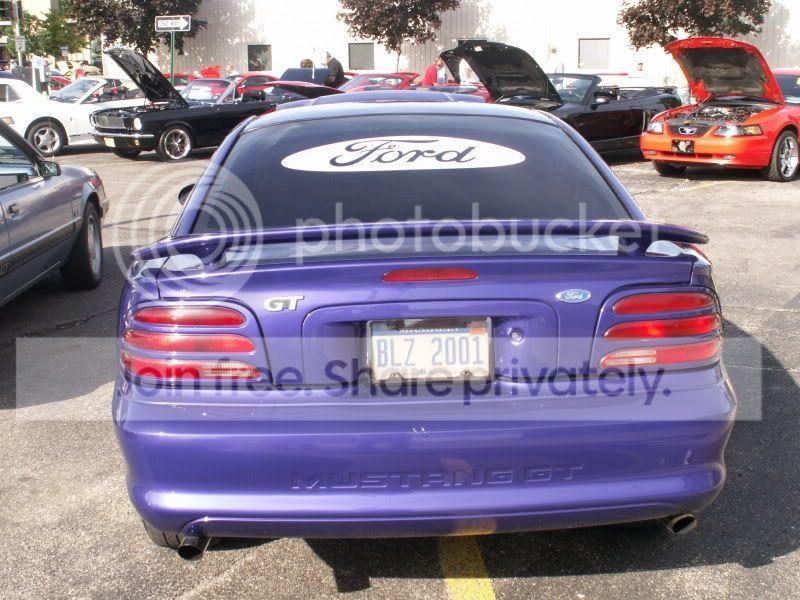 Mustangs034.jpg