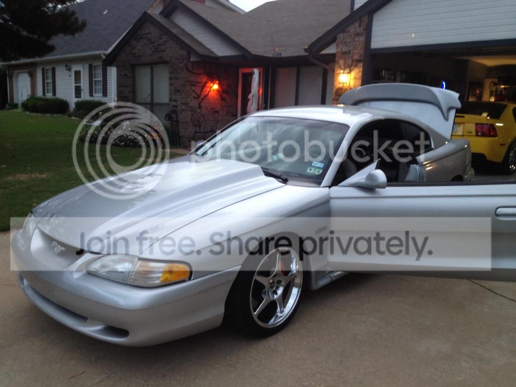 IMG_0227_zps2f17ec05.jpg