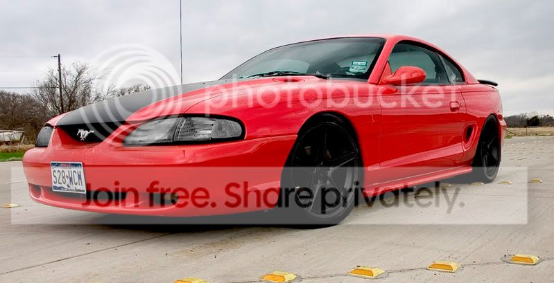 redchop3.jpg