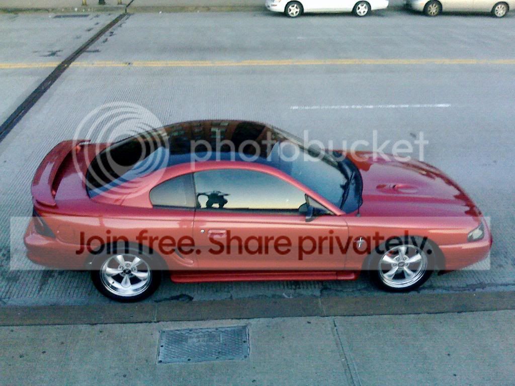 mustang08.jpg
