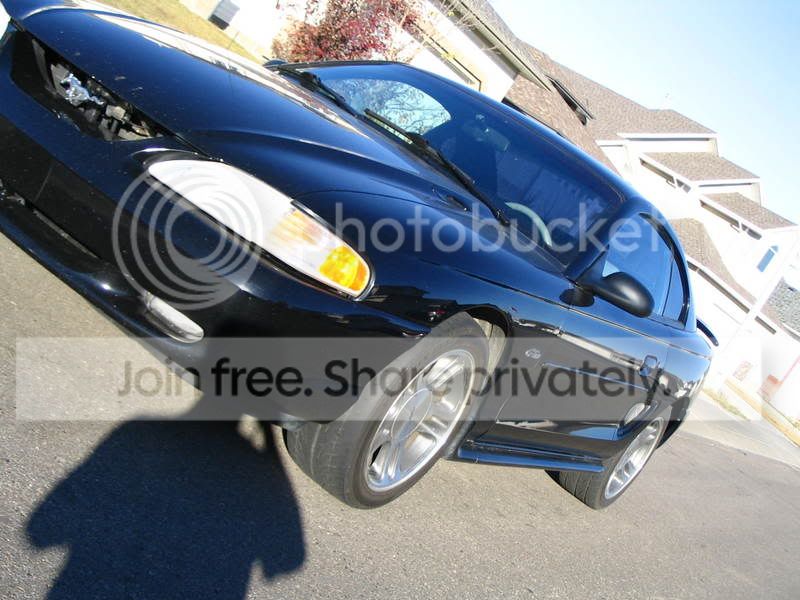 Lowered002-1.jpg