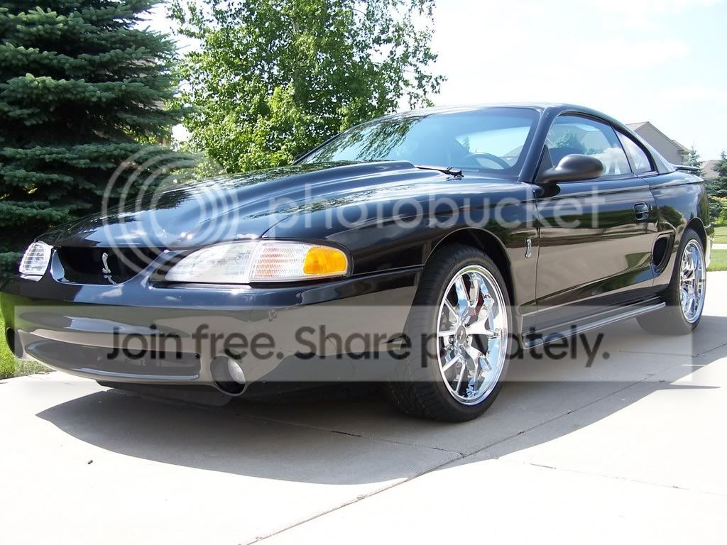 My95.jpg