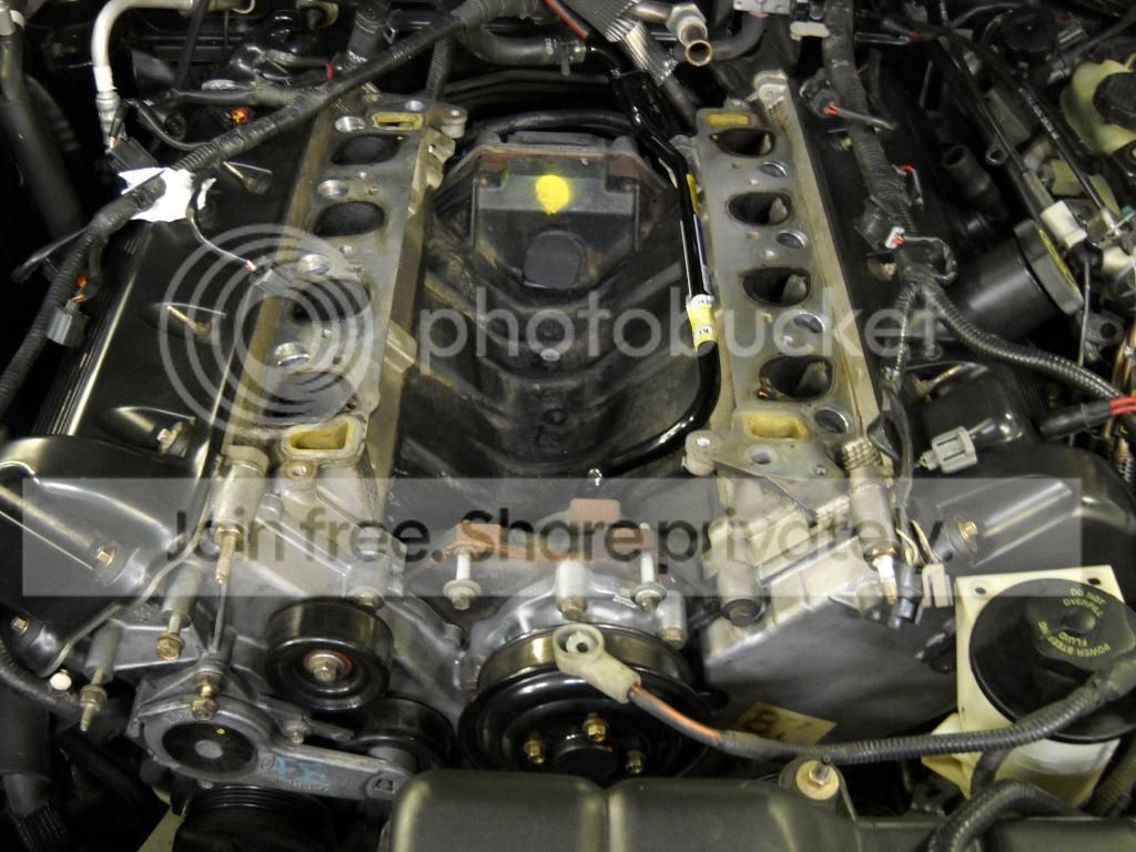 DSCN3809.jpg