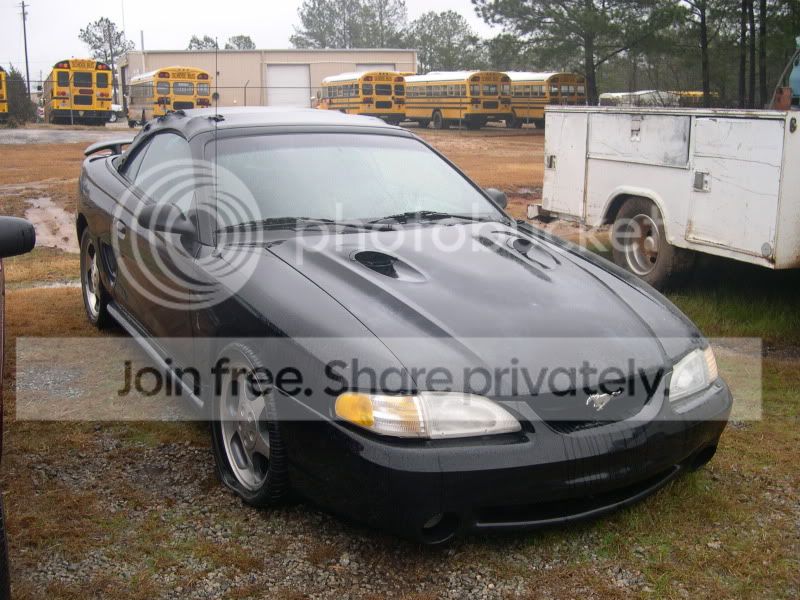 blackcobraconvertible020.jpg
