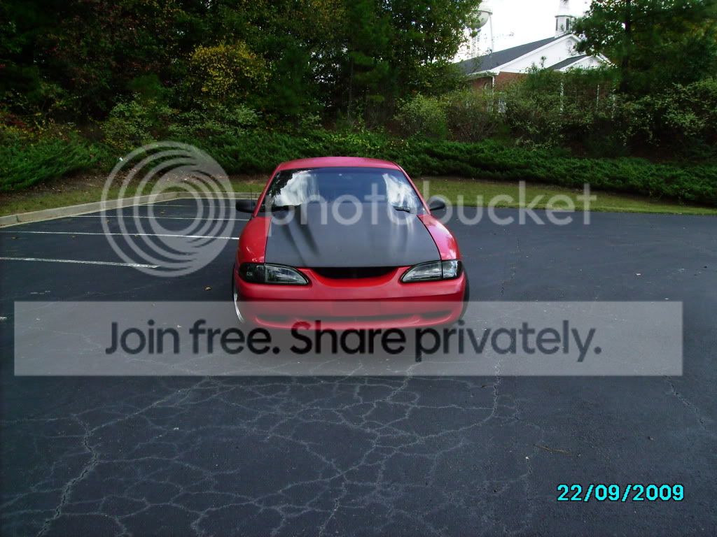 wingless3004.jpg