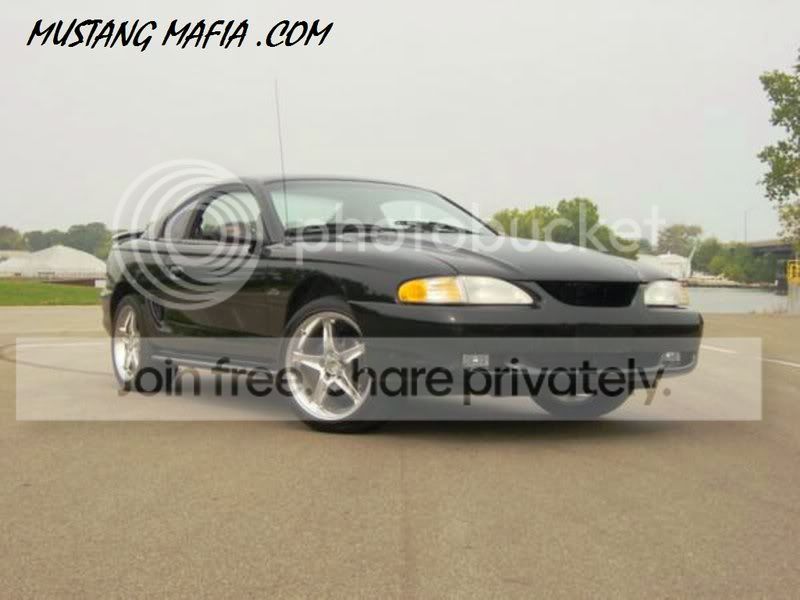mystang.jpg