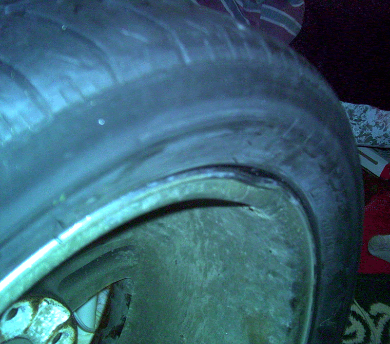 PICT0029.gif