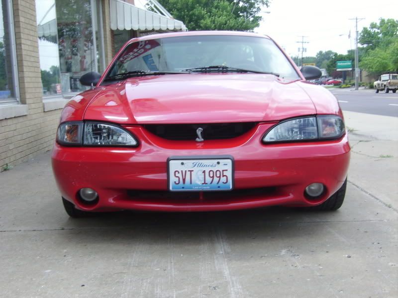 IMGP0610.jpg