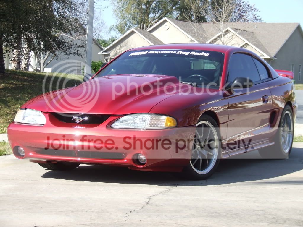 DSCF5955.jpg