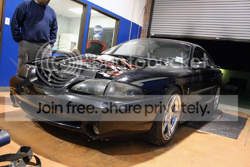 car6.jpg