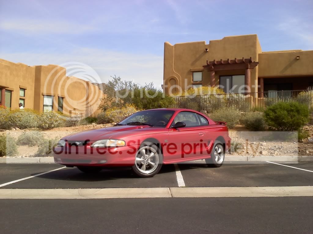 Mustang3.jpg
