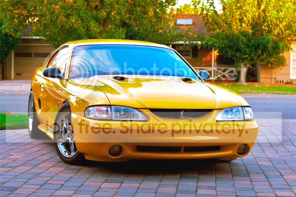 cobra-nitto.jpg