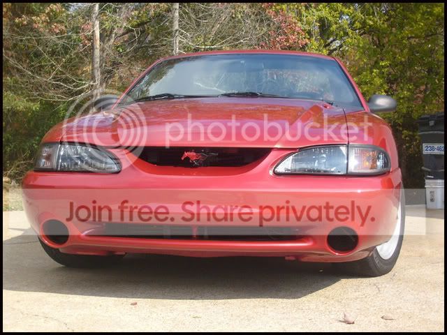 newbumper025-2.jpg