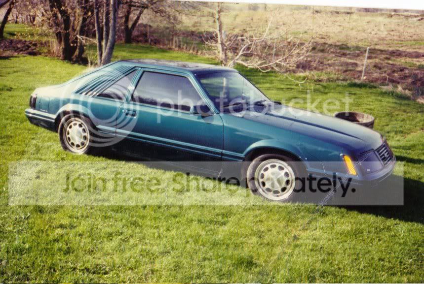 84GT.jpg