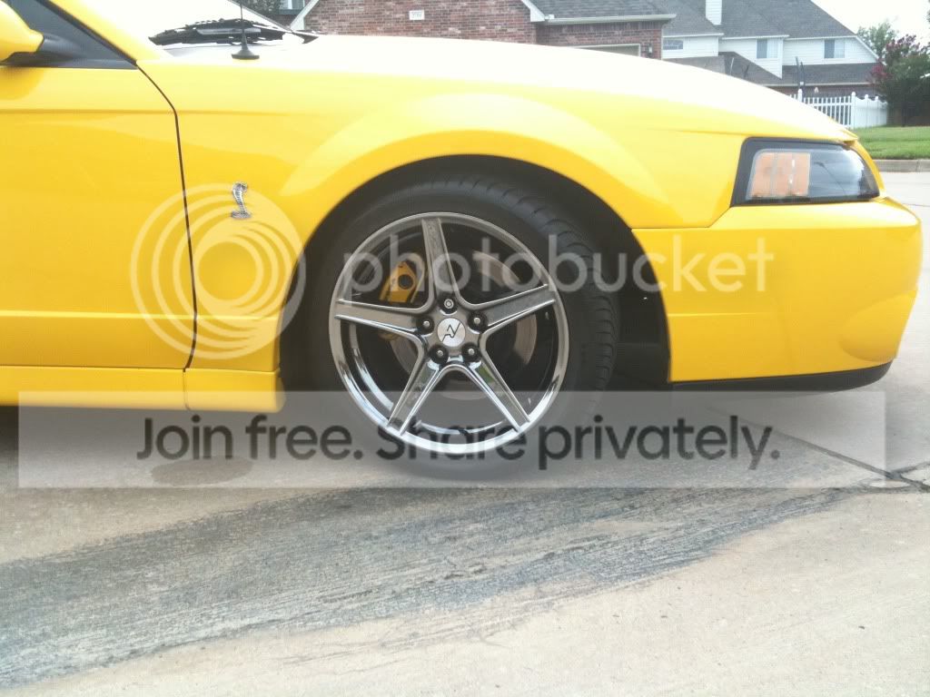 Caseysvids282.jpg