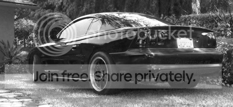 RearDriverBW.jpg