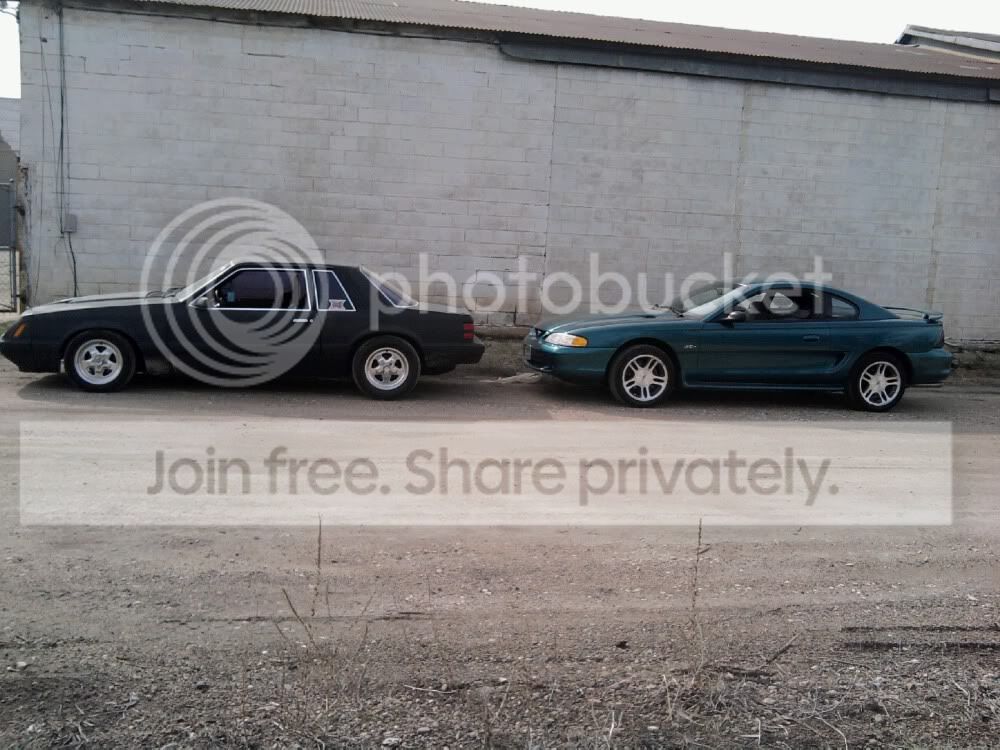 mustangs.jpg
